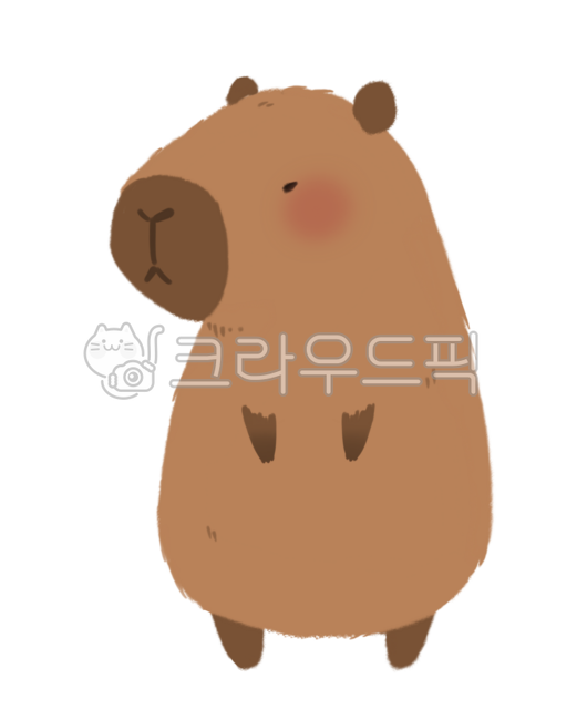 카피바라,귀여운,설치류,동물,심플