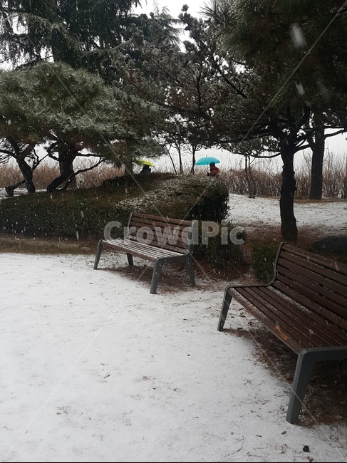 외로움,의자,벤치,겨울,친구