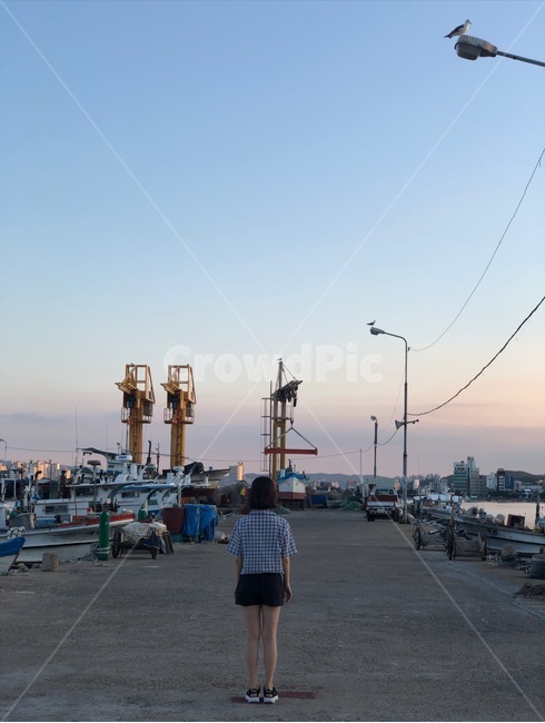 바다,항구,풍경,뒷모습,하늘,방파제