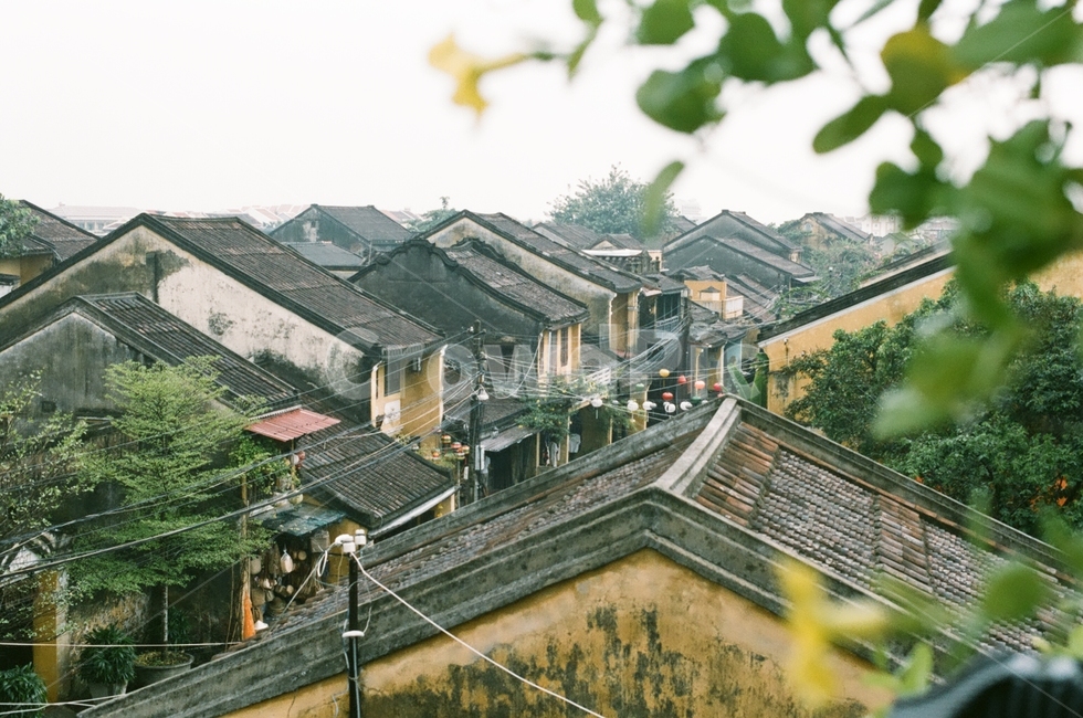 roof,지붕,베트남,호이안,노랑