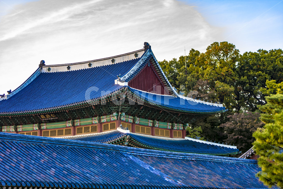 기와,전통기와,인정전,기와지붕,창덕궁,문화유산,하늘,한국의미,전통가옥,전통건축물,건축물,한옥,지붕,한국전통,한국문화,korean traditional,korean culture,건축물,건물외관,exterior,building,structure,architecture,construction