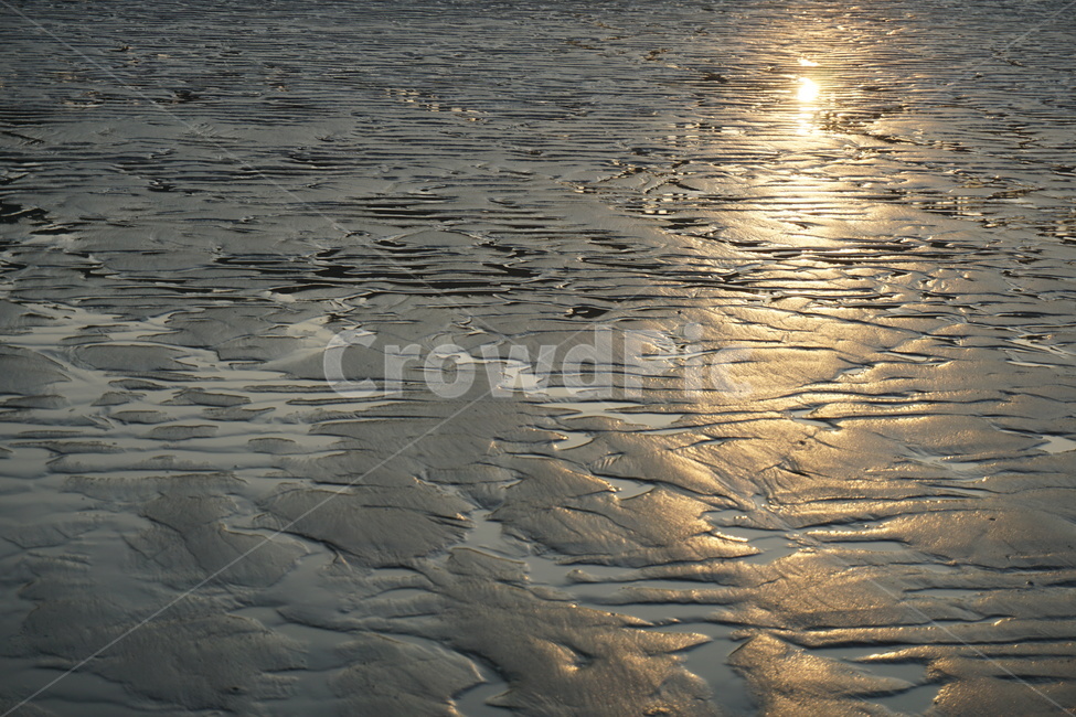 바다,서해,아침,금빛,모래,갯벌,자연,자연,풍경,nature,landscape,해변,바다,beach,sea,outdoors,옥외,sand,soil,흙,water,물