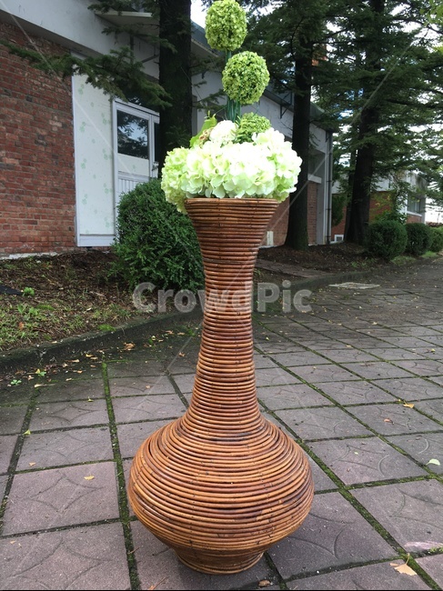 화분,꽃,긴화분,flagstone,판석,식물,자연,plants,nature