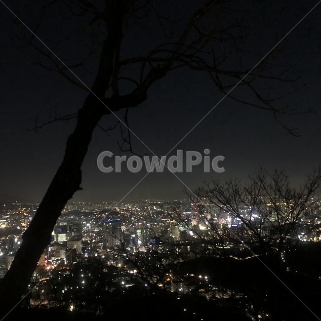 남산타워,서울,63빌딩,빌딩,타워,밤야경,야경,밤하늘,저녁,감성,새벽감성,landscape,경치,outdoors,옥외,nature,자연,scenery,풍경,aerialview,조감도