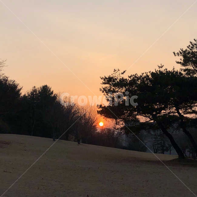 붉은하늘,황혼,일몰,겨울날,소나무