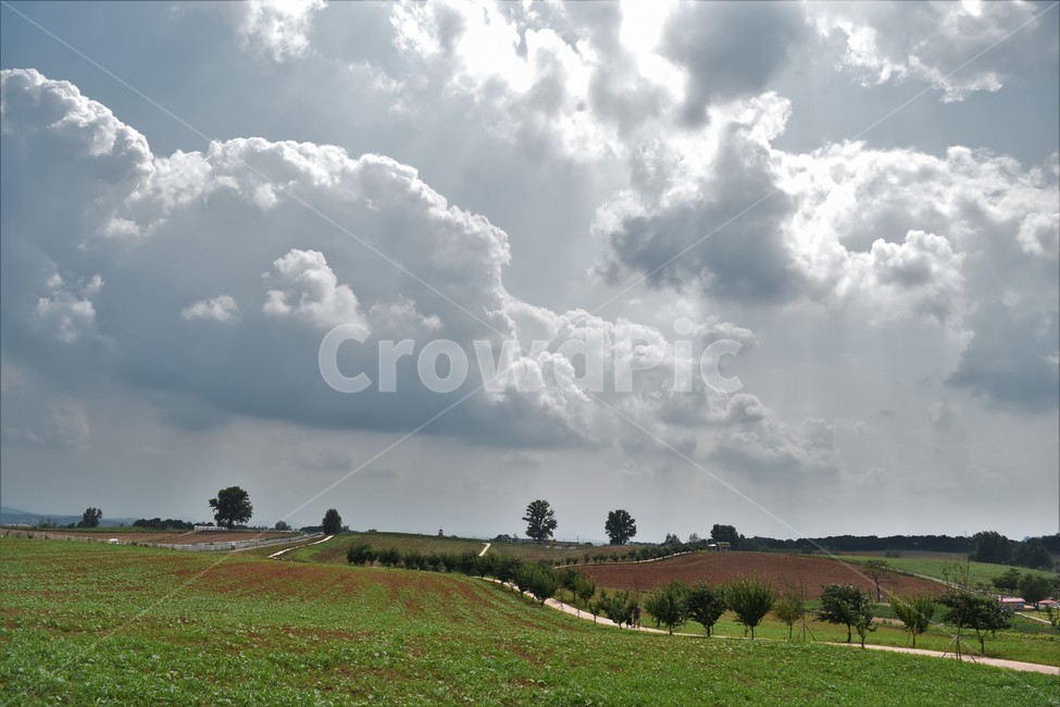 nature,자연,outdoors,옥외,목초지,들,field,sky,하늘,구름,cloud,자연,풍경,nature,landscape