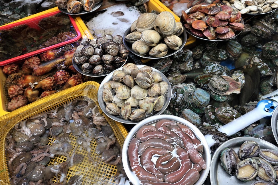 조개,수산물,해산물,수산시장,판매,진열,자연산,해물,식재료,신선한,싱싱한,어시장,시장,마트,마켓,market,mart,market place,음식,식재료,요리,food,cook,meal,dishes,food reserves,수산물,해산물,fishery products,seafood