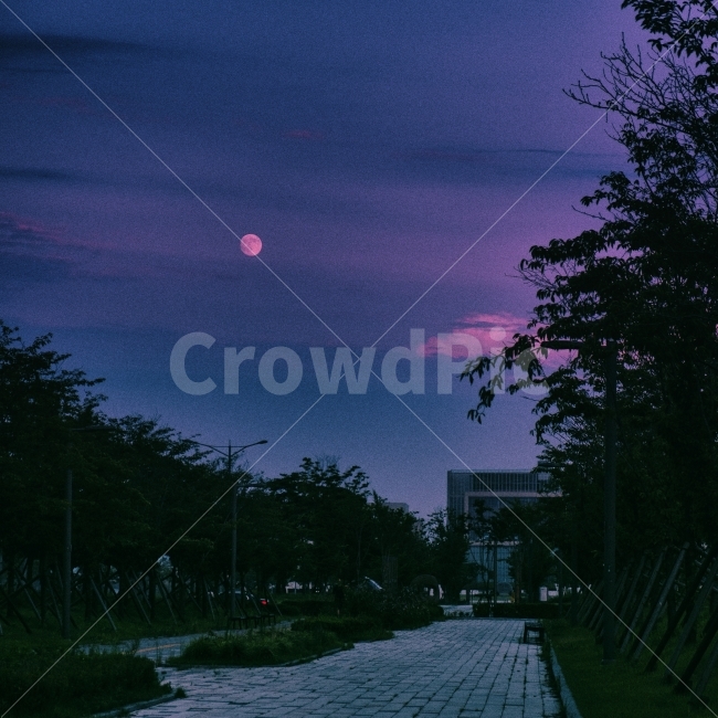 cloud,full moon,moon,purple,Street,dinner