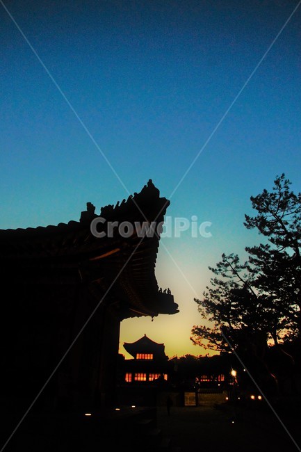 고궁,야경,노을,나무,실루엣,한국전통,한국문화,korean traditional,korean culture,실루엣,그림자,silhouette,shadow,건축물,건물외관,exterior,building,structure,architecture,construction