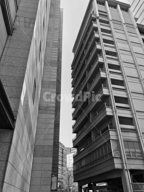 흑백,고층,건물,종로,회색,흑백,모노톤,monochrome,black and white,건축물,건물외관,exterior,building,structure,architecture,construction