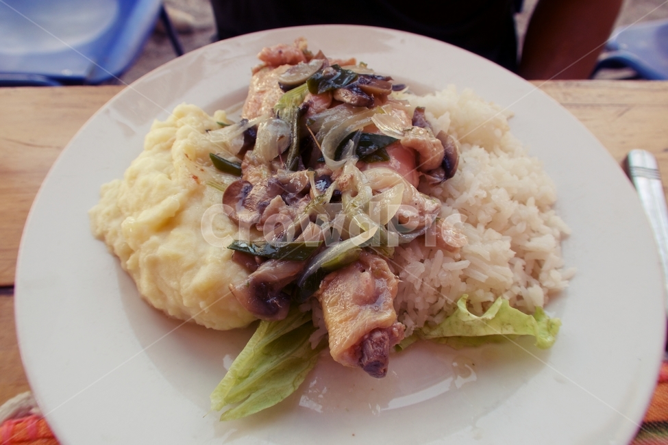 치킨,치킨다리,감자,버섯,밥,그릇,흰색그릇,테이블,음식,dinner,dish,meal,roasted,lunch,roast,fried,grilled,meat,food,cooked,chicken,plate,delicious,white,leg,cuisine,mashed,fresh,potatoes,tasty,healthy,closeup,vegetables,homemade,vegetable,cooking,baked,potato,table,sauce,mashedpotatoes,grill,roastedchicken,음식,식재료,요리,food,cook,meal,dishes,food reserves
