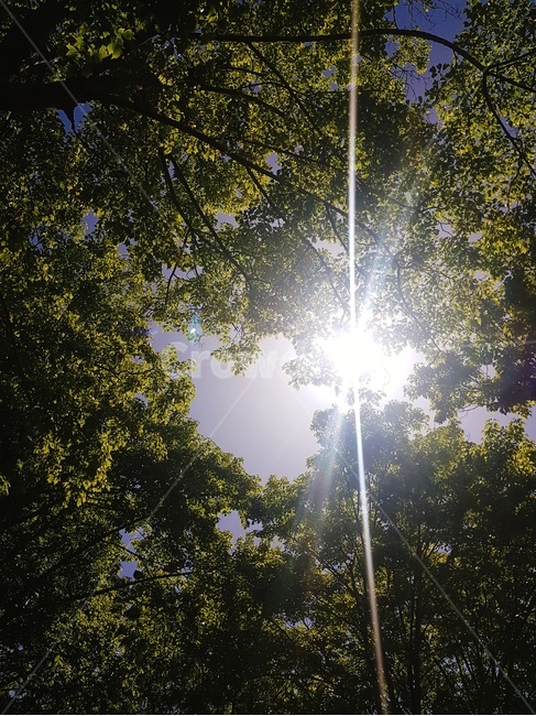 하늘,여름,풍경,화창한날씨,맑음