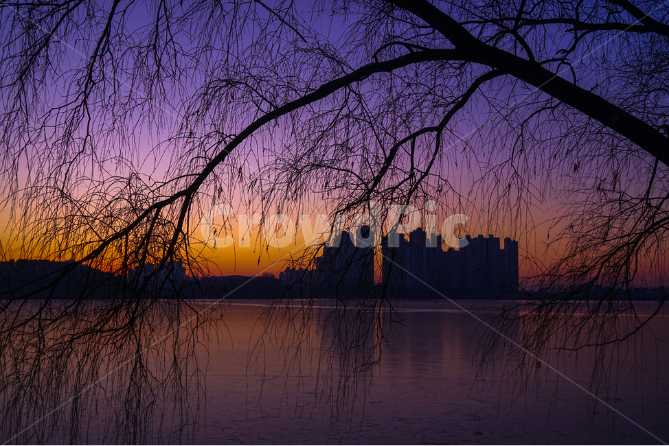 호수,여명,해돋이,새벽,감성,겨울,계절,풍경,야경,밤,풍경,nightscape,night,landscape,도시,city,식물,자연,plants,nature,나무,trees,wood,실루엣,그림자,silhouette,shadow
