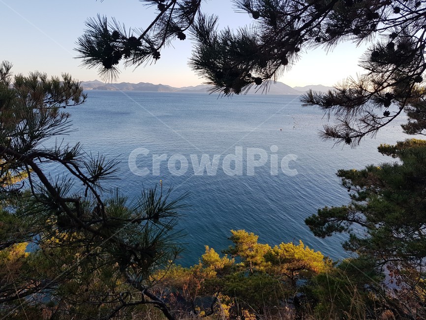 바다,nature,자연,물,water,tree,나무,plant,식물,outdoors,옥외,sea