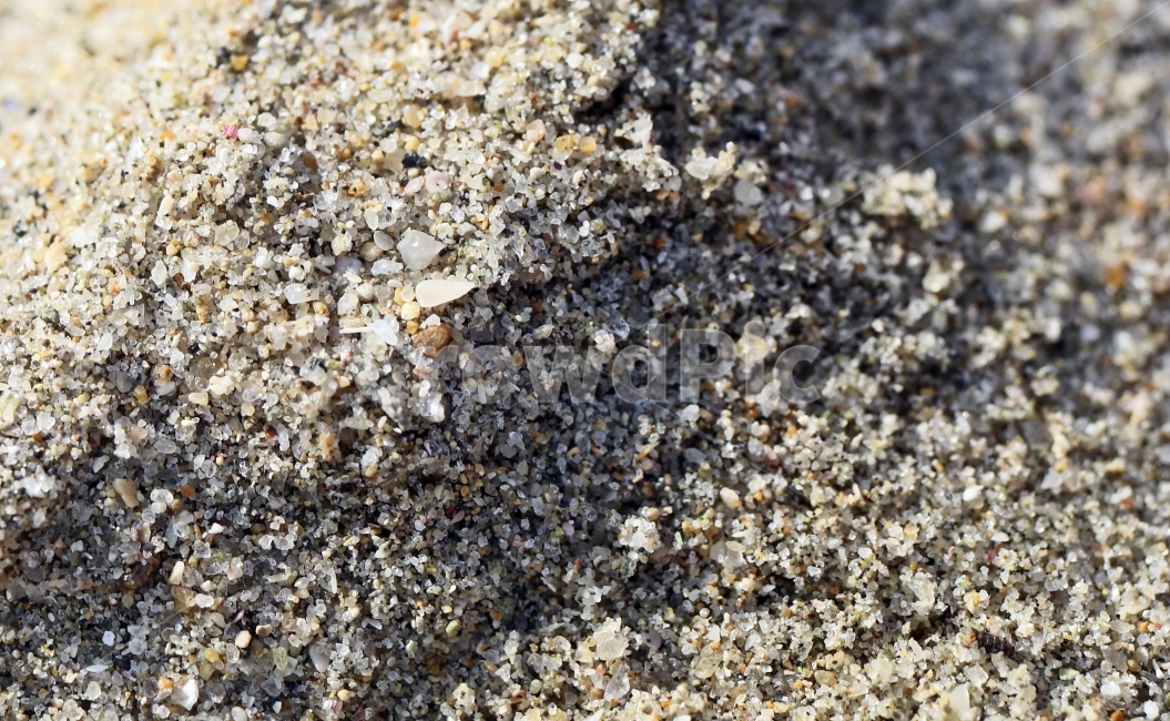 모래,모래사장,매크로,접사,알갱이,자연,바닷가,해변,해변,바다,beach,sea