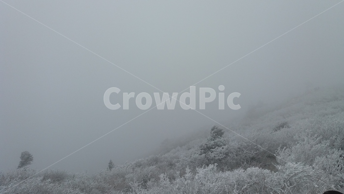 겨울,눈,나무,눈꽃,산,덕유산,겨울,계절,winter,season,자연,풍경,nature,landscape,outdoors,옥외,weather,날씨