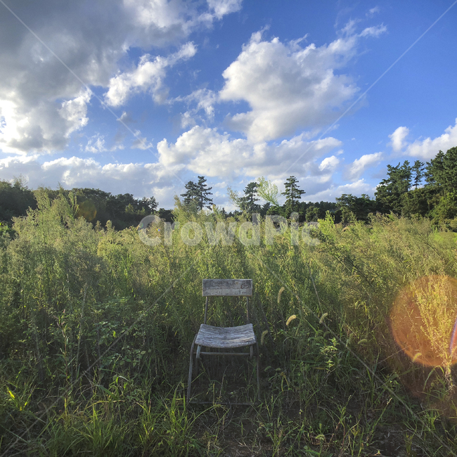 제주도,풍경,가을,제주,자연,자연,풍경,nature,landscape,outdoors,옥외,grassland,목초지,field,들