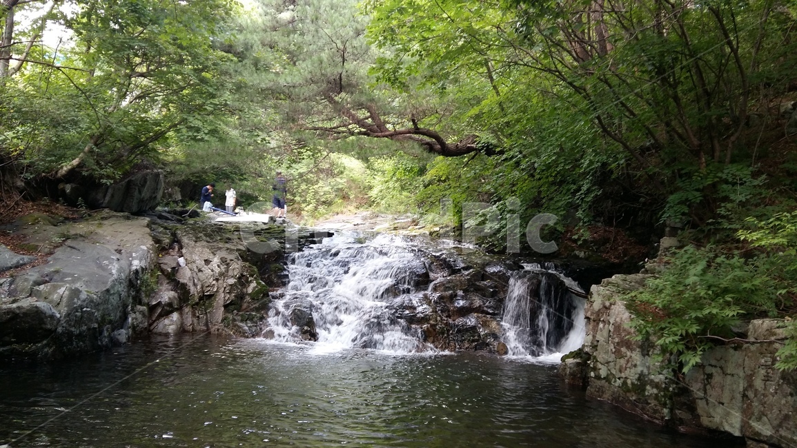 water,nature,자연,outdoors,옥외,river,강,human,인간,person,사람,계곡,숲속,숲,나무,풀,초록색,바위,돌,물,거품,나뭇가지,여름,시원함,물줄기