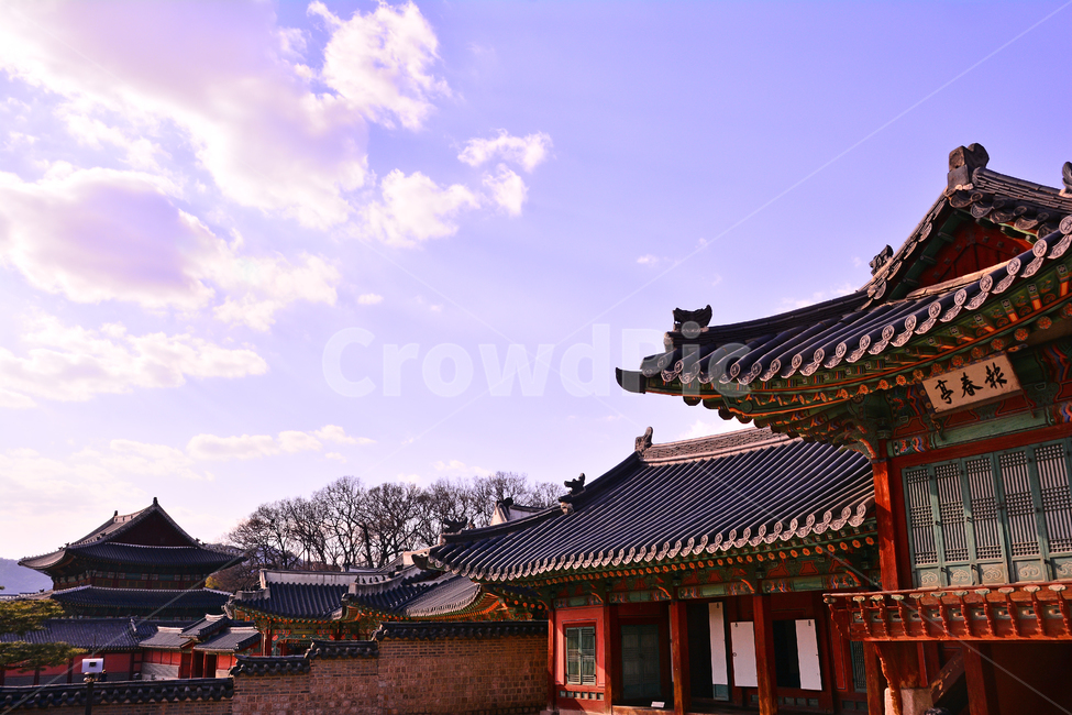 한국전통,고궁,궁궐,창덕궁,전통,배경,바탕,백그라운드,korean,traditional,ancientpalace,spring,시즌,계절,조선시대,건축물,서울,기와집,하우스,집,한국적,코리안,하늘,뭉게구름,청명,한국전통,한국문화,korean traditional,korean culture,랜드마크,landmark,tourist attraction,한국랜드마크,한국관광지,한국명소,korea landmark,korea tourist attraction,건축물,건물외관,exterior,building,structure,architecture,construction
