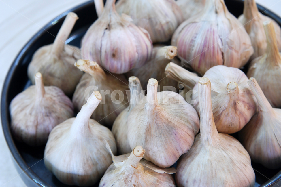 마늘,통마늘,농산물,농작물,음식,재료,식재료,음식재료,식자재,유기농,신선한,음식,식재료,요리,food,cook,meal,dishes,food reserves