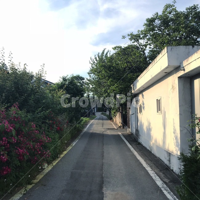 아스팔트,도로,road,시골길,시골,asphalt,풍경