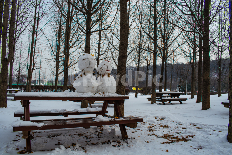 눈사람,겨울풍경,눈밭,백설,흰눈,겨울,계절,winter,season