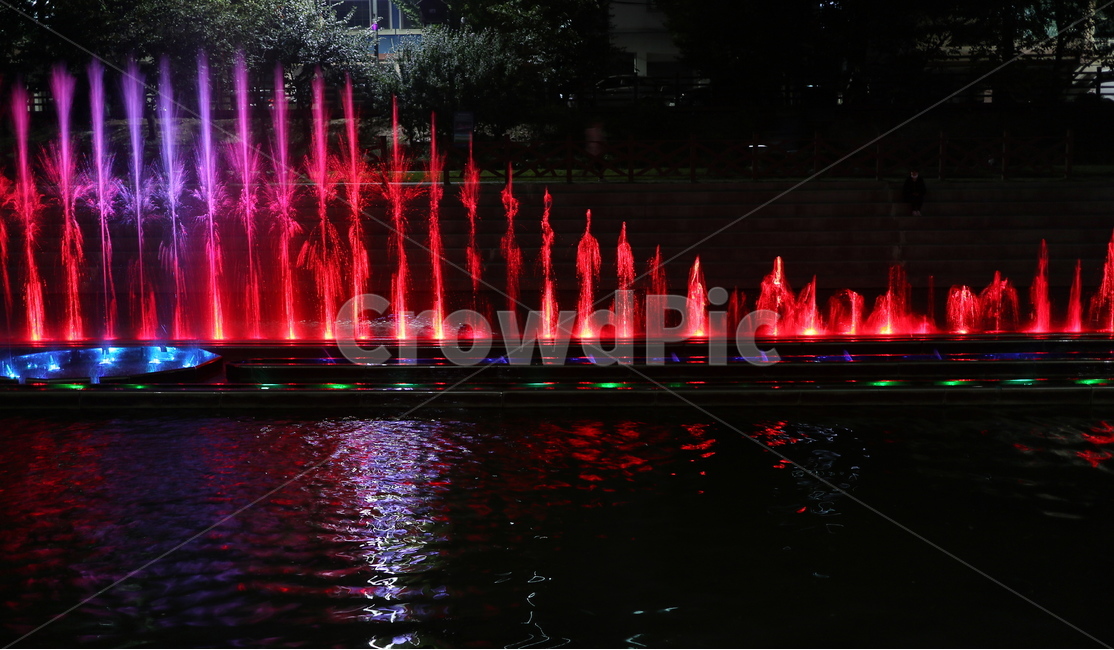 분수대,분수,야간분수,여름,청량,분수쇼,불광천,여름,계절,summer,season,야경,밤,풍경,nightscape,night,landscape,water,물,fountain