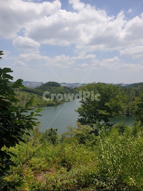 군산,월명산,자연,나무,경치,날씨밝음,날씨,그림자,구름,호수,자연경관,숲