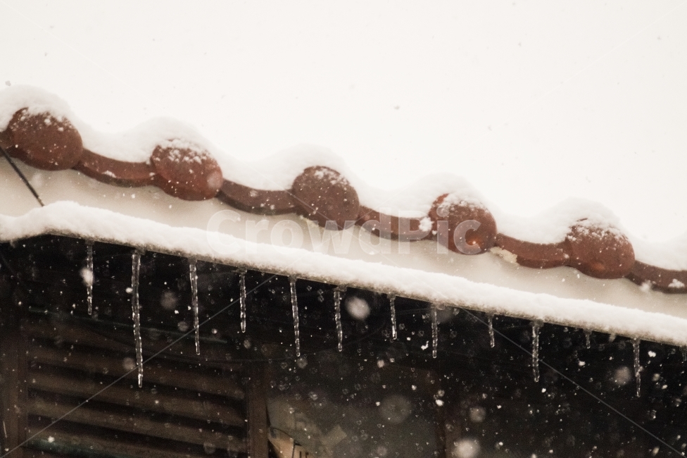 겨울,눈,눈내리는날,눈오는날,함박눈,눈이내리는,눈이오는,계절,자연,시즌,winter,season,snow,snowy,snowyday,snowing,nature,하얀색,하얀눈,흰눈,white,whitecolor,감성적인,emotional,벽돌,빨간벽돌,brick,redbrick,고드름,수정고드름,얼음,겨울,계절,winter,season