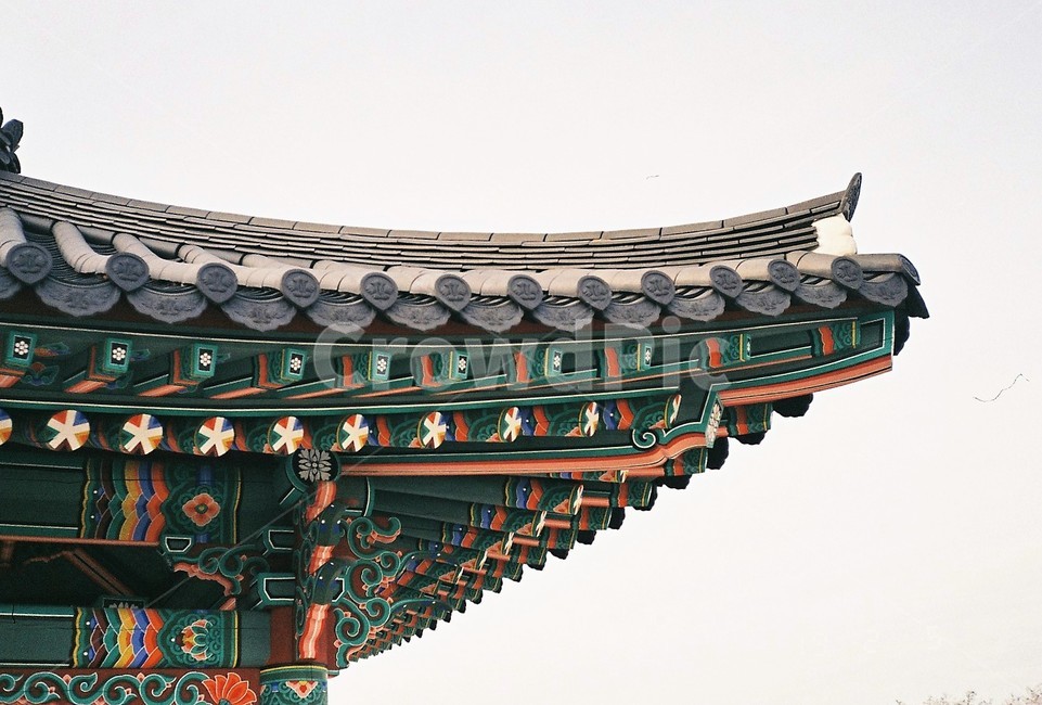 단청,단청문양,기와,목조건물,단청건물,기와집,궁궐,고건물,건축물,building,건물,옛기와,필름,필름감성,필름사진,필름카메라