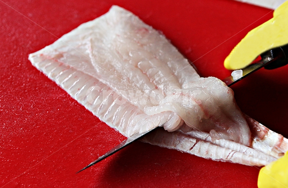 회,사시미,생선,음식,먹거리,칼,도마,음식,식재료,요리,food,cook,meal,dishes,food reserves,수산물,해산물,fishery products,seafood