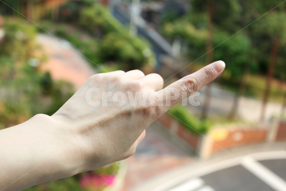 손,핸드,여자,여자손,성인,어른,사람,인체,신체,신체부위,부위,손가락,검지,팔목,방향,가리키다,손,제스처,표시,손짓,표현,gesture,hand,sign,expression
