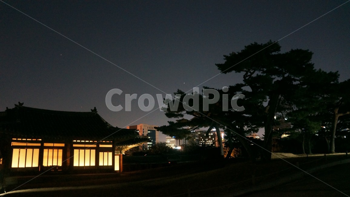 창경궁,고궁,경복궁,야간개장,궁,야경,밤,풍경,nightscape,night,landscape,랜드마크,landmark,tourist attraction,한국랜드마크,한국관광지,한국명소,korea landmark,korea tourist attraction,nature,자연