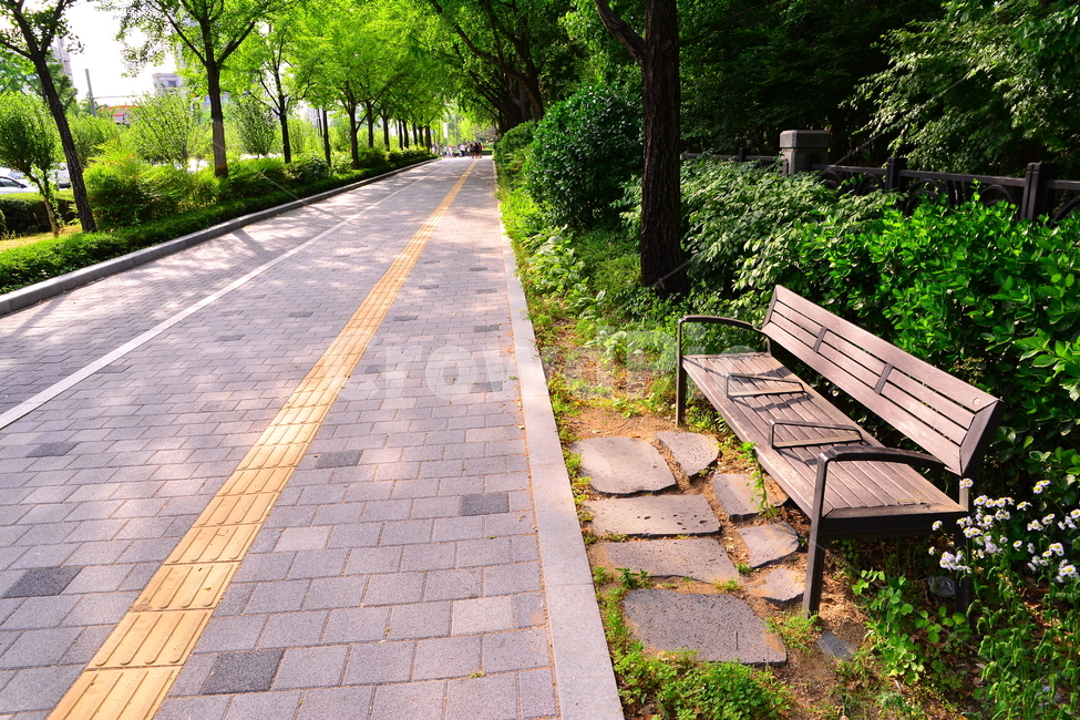 벤치,의자,나무의자,쉼터,휴식,빈자리,relaxation,rest,쉼,쉬어가는곳,힐링,여유,명상,산책,bench,leisure,sit,chair,풍경,앉다,자리,편안한,도로,길,road,healing,휴식,힐링,rest,relaxation,healing