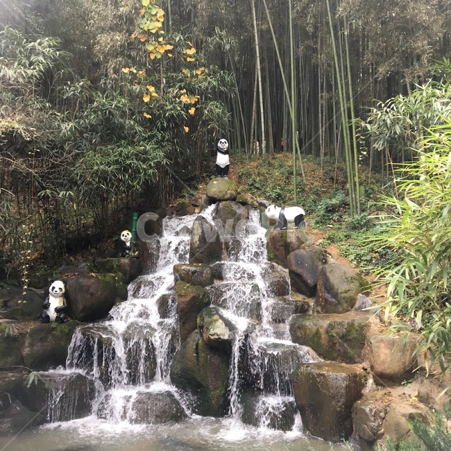 대나무,죽녹원,죽림폭포,폭포,나무,돌,물,팬더,자연,풍경,nature,landscape,조각상,동상,석상,조형물,statue,bronze statue,stone statue,동물,animal,포유류,mammal,water,river,강,outdoors,옥외,waterfall