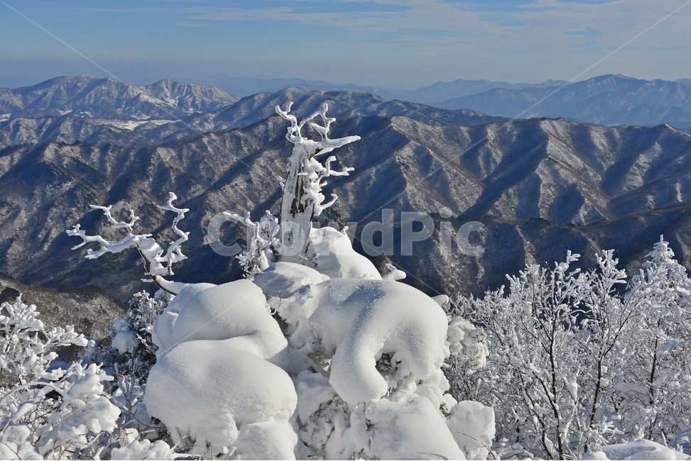 glacier,빙하,ice,빙,snow,nature,자연,landscape,경치,outdoors,옥외,향적봉,scenery,풍경,mountain,산,경관,무주,덕유산,설천봉,상제루,덕유산설경,상고대,눈,겨울,계절,중봉,겨울,계절,winter,season,자연,풍경,nature,landscape
