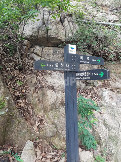 등산,걷기,이정표,표지판,산