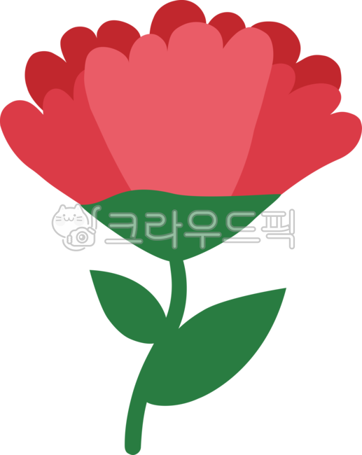 petal,carnation,Mothers Day,flower,May 8th