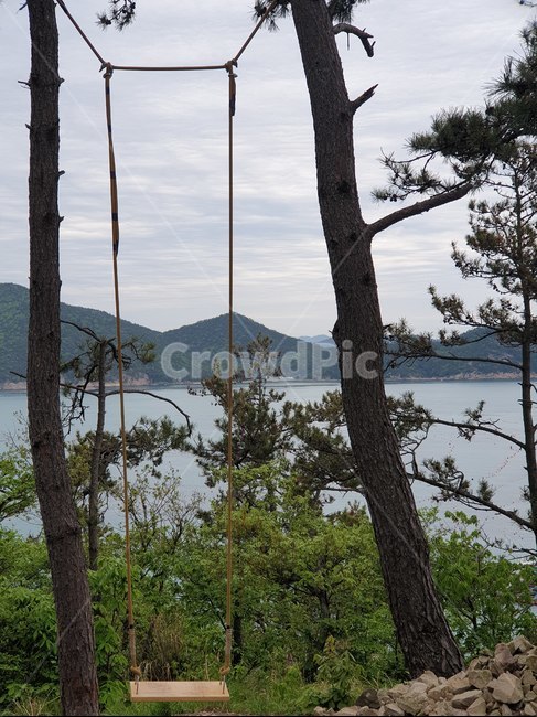 바다,해변가그네,나무,가두리,산,경치