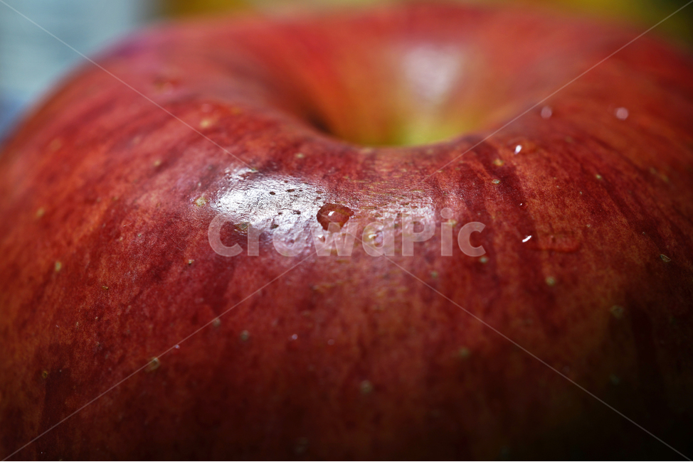 사과,과일,열매,식물,apple,fruit,음식,부사,빨간사과,과일,열매,fruit