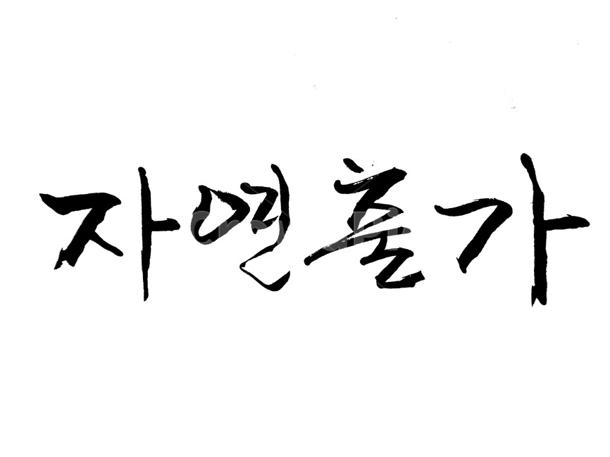 캘리그라피,붓글씨,자연,자연인,출가
