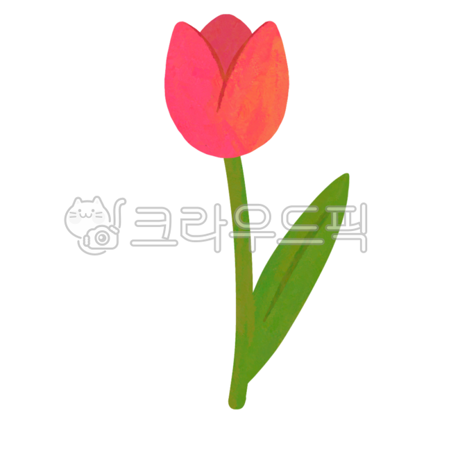 튤립,튤립꽃,꽃한송이,튤립일러스트,튤립요소,분홍색꽃,자주색꽃,튤립일러,꽃,봄꽃,꽃축제,튤립축제