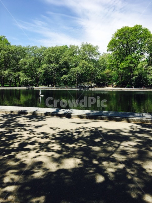 자연,휴식,초록풍경,안정,센트럴파크,도심공원,centralpark