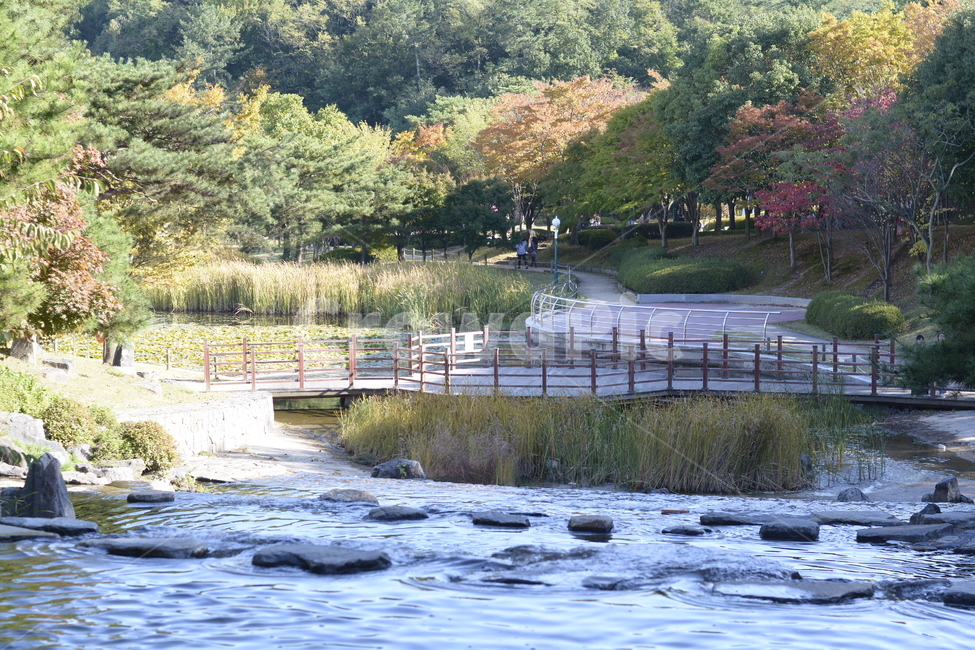 물,가을,식물,돌,nature,landscape,가을,계절,fall,autumn,season,자연,풍경,nature,landscape,water,outdoors,옥외,waterfront,워터 프론트