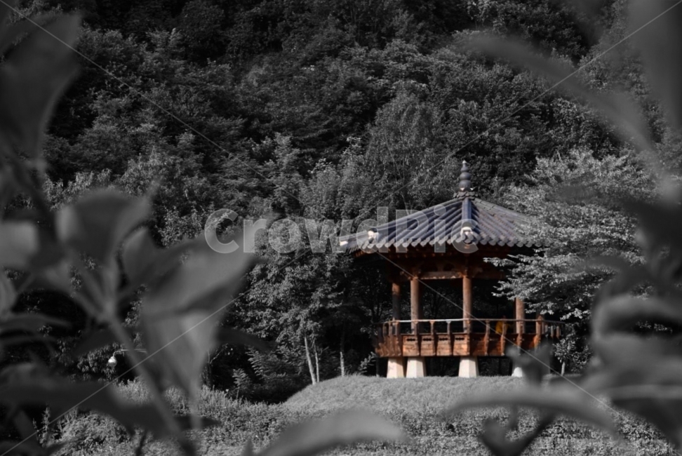 정자,가을,옛날집,기와,흑백사진,자연,풍경,nature,landscape,한국자연풍경,한국자연경관,korea nature landscape,한국전통,한국문화,korean traditional,korean culture,흑백,모노톤,monochrome,black and white