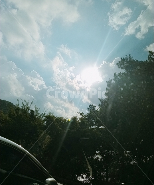 하늘,나무,배경,풍경,구름
