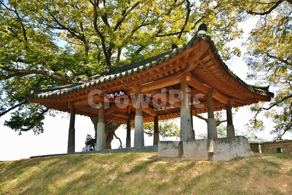 연미정,강화도,월곶리,성곽,정자,느티나무,팔작지붕,강화팔경,누정,민도리집,한국전통,한국문화,korean traditional,korean culture,건축물,건물외관,exterior,building,structure,architecture,construction