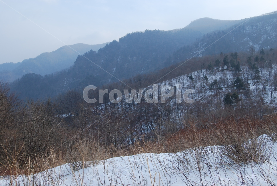 노인봉,오대산,100대명산,소금강,강원,산행,힐링,자연,감성,등산,계절,여행,한국,한국명산,한국등산,풍경,눈,나무,하늘,바람,바람소리,환경,생태계,산,땅,겨울,계절,winter,season,자연,풍경,nature,landscape,한국자연풍경,한국자연경관,korea nature landscape,outdoors,옥외,mountain range,산맥,mountain