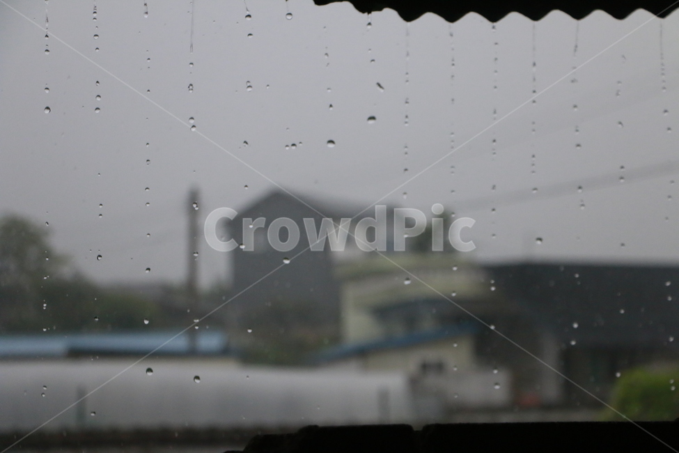비,비방울,가을장마,촌집,가을,비,비오는날,rain,rainy