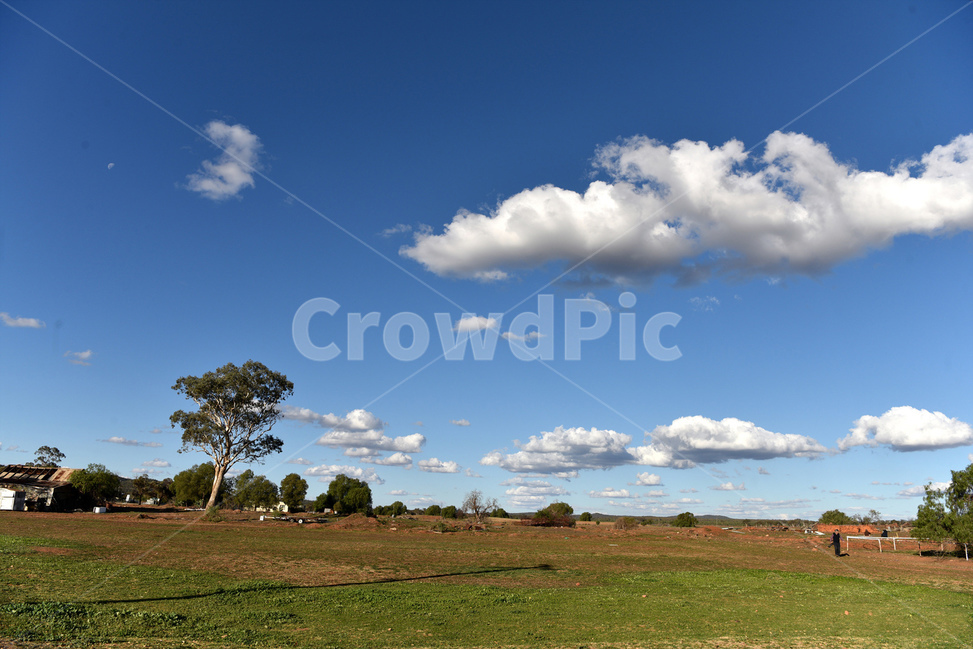 하늘,푸른하늘,파란하늘,구름,뭉게구름,푸르름,자연,목초지,들,grassland,field,outdoors